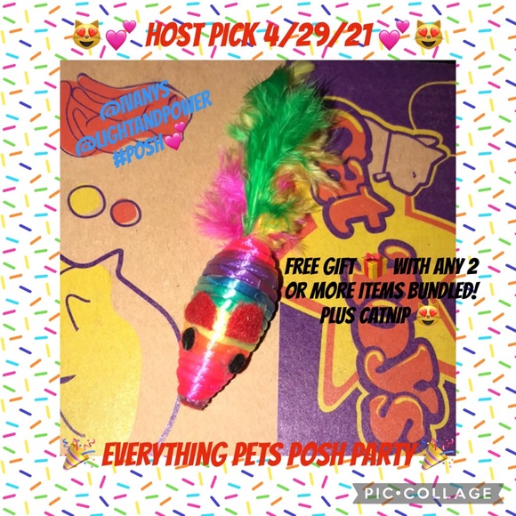 Rainbow ๐ feather tailed mouse ๐ cat toy and catnip bonus - Picture 13 of 13